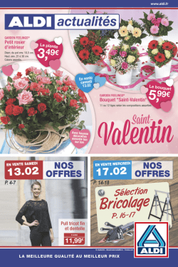 Afficher le en format PDF