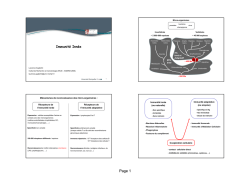 T&eacute;l&eacute;charger la Brochure
