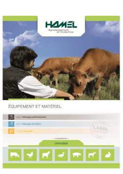 COMMISSION DES STATUTS ET REGLEMENTS