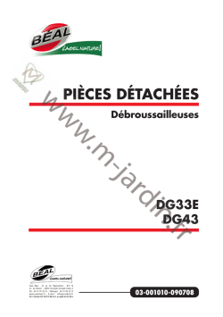 PI&Egrave;CES D&Eacute;TACH&Eacute;ES D&eacute;broussailleuses - M