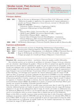 Curriculum Vitæ de Nicolas Lermé