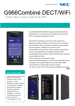 Documentation Poste DECT G966 NEC_fr