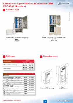 Coffrets de coupure 400A ou de protection 200A ECP-3D