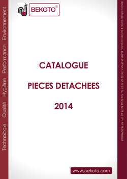 catalogue de pieces detachees bekoto