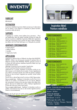 Inspiration M&eacute;tal Peinture m&eacute;tallis&eacute;e