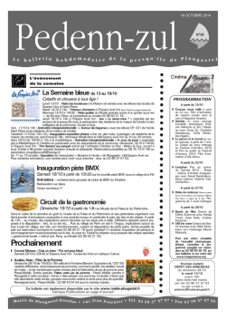 T&eacute;l&eacute;chargez le Pedenn Zul du 19 octobre 2014 - Plougastel