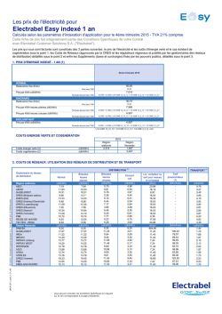Electrabel Easy indexé 1 an