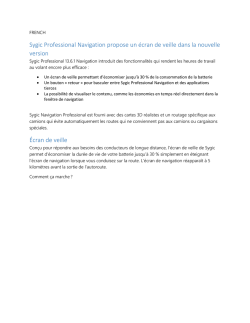 Sygic Professional Navigation propose un &eacute;cran de veille dans