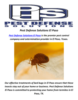 Bed Bugs in El Paso TX by Pest Defense Solutions