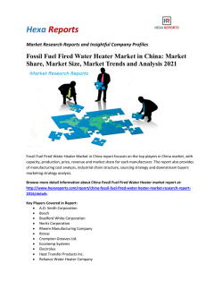 Fossil Fuel Fired Water Heater Market in China: Market Share, Market Size, Market Trends and Analysis 2021 