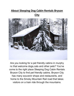 Sleeping Dog Cabin Rentals Pet Friendly Cabins Murphy NC