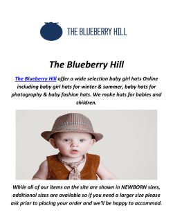 The Blueberry Hill : Baby Hats For Photography