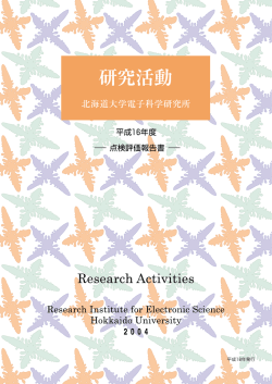2004 - 北海道大学電子科学研究所