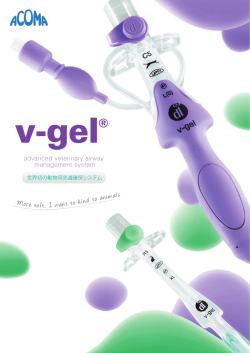 声門上気道確保器具 v-gel