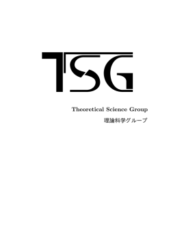 &Igrave;&Euml;Theoretical Science Group