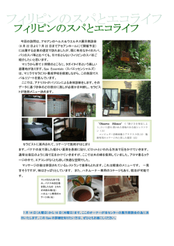 PDFファイル - 日本アセアンセンター