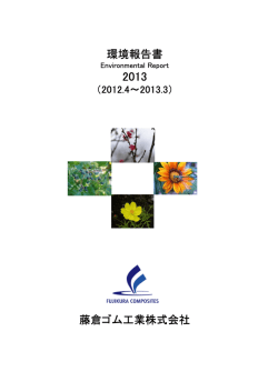 環境報告書2013