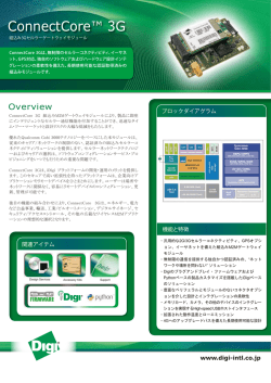 Cellular(3G)詳細資料