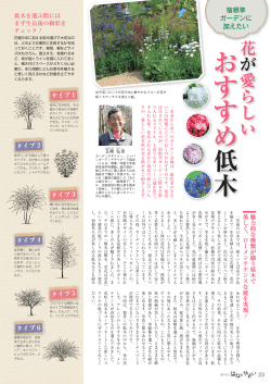 おすすめ 低木