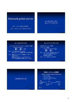 Network print server