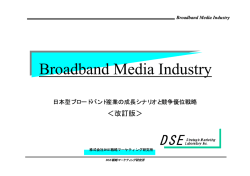 Broadband Media Industry