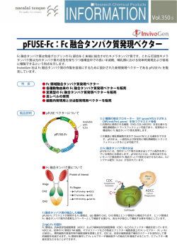 pFUSE-Fc：Fc 融合タンパク質発現ベクター