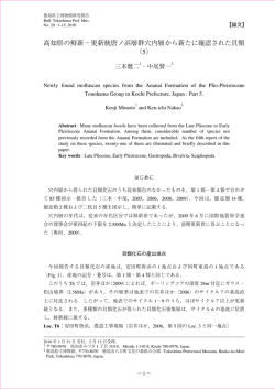 高知県の鮮新&minus;更新統唐ノ浜層群穴内層から新たに確認された貝類 （5）