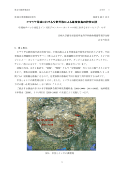 20121215_23_05_hasegawa_handout