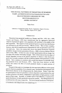 Page 1 Page 2 Page 3 Page 4 Structed 。r Pr。visi。ned WaS C