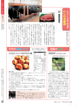 24ページ（PDF：786KB）