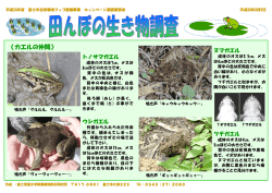 見分け方の資料へ