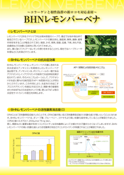 PDF ダウンロード [ 298 KB ]