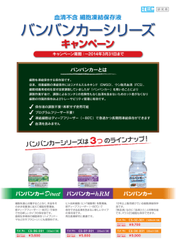 バンバンカーシリーズ