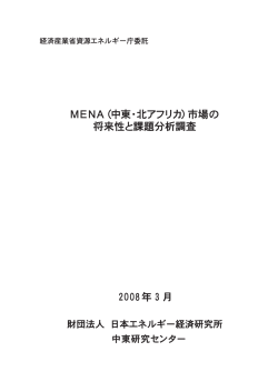 MENA（中東・ （中東・北アフリカ）市場の 将来性と課題分析調査 2008