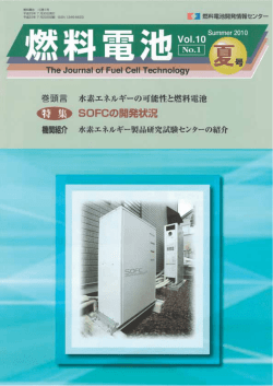 Vol.10(No.1)(2010)、特集