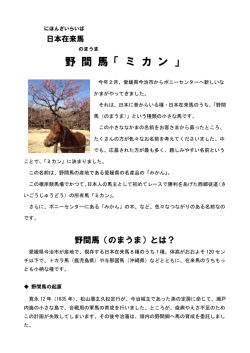 野間馬とは？ - 馬の博物館
