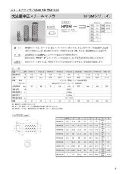 大流量中圧スチールマフラ HFSMシリーズ HFSM