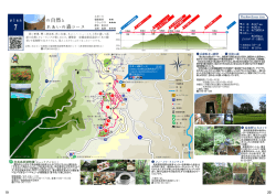うわの自然と ふれあいの森コース