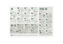 春 初夏・夏 秋・冬