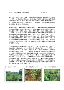 ケニアの家庭料理とマサイ族 山本洋子