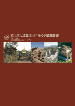 PDF - 文化遺産国際協力コンソーシアム｜JCIC