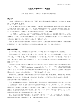 貝塚市のハバチ類（PDF：413.9KB）