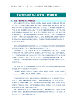 その他手続きなどの支援（特例措置）