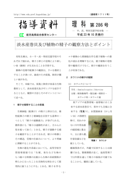 淡水産巻貝及び植物の精子の観察の方法とポイント