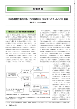 犬の多剤耐性菌の問題とその対処方法（特に耳へのチャレンジ）前編 特