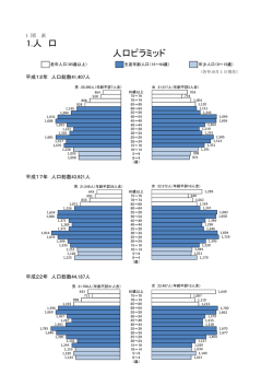 1.人 口 人口ピラミッド