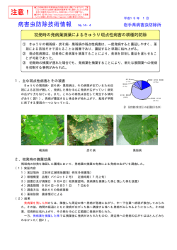 No.14-4 初発時の発病葉摘葉によるきゅうり斑点性病害の耕種的防除