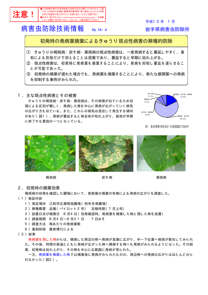 No 14 4 初発時の発病葉摘葉によるきゅうり斑点性病害の耕種的防除