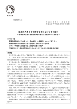 細胞の大きさを制御する新たな分子を同定！
