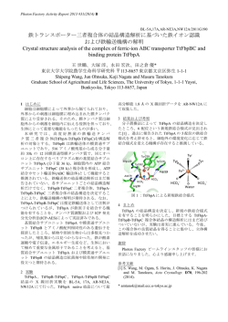 鉄トランスポーター三者複合体の結晶構造解析に
